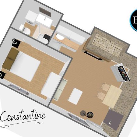 Apartament Le Constantine - Quartier Historique - Charme & Ancien Tours Zewnętrze zdjęcie