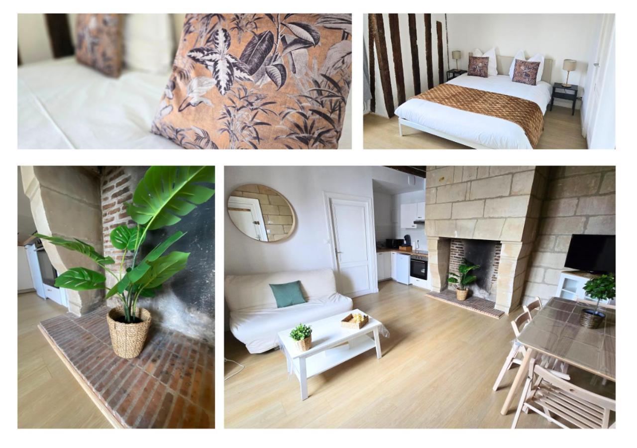 Apartament Le Constantine - Quartier Historique - Charme & Ancien Tours Zewnętrze zdjęcie